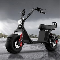 전동 할리 팻 바이크 전기 스쿠터 오토바이 탈착식, X20 8인치1500W 20A 90km 60V
