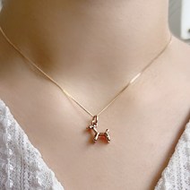 뿅뿅지구오락실2 14K미미목걸이 푸들목걸이 강아지팬던트 금목걸이