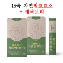 탄수화물 분해효소 지방 분해 발효효소 15곡물 새싹보리 분말 가루 아밀라아제 프로테아제 친환경 소화 효소제 스틱, 2박스(60포/2개월분)