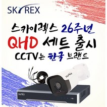스카이렉스 QHD 초고화질 하이브리드 매장&가정용CCTV 케이블50M 풀세트 실내외겸용, 보급형 실외2개(전용 케이블 50M+아답터)