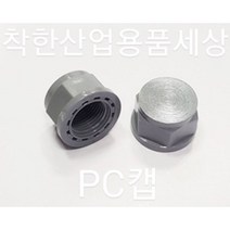 플라스틱니플 메꾸라 캡메꾸라 캡플러그 PC 부속 배관, 25A, 1개