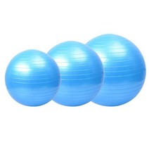 짐볼 요가볼 필라테스볼 블루 55cm 짐볼운동법 인산부 짐볼사이즈 헬스 홈트레이닝 요가 보수볼 밸런스 다이어트볼 필라테스공 홈트레이닝기구 홈트운동기구 짐볼추천 필라테스짐볼 요가용품 요가짐볼 짐볼운동 요가볼 마사지짐볼 마사지볼 대형짐볼