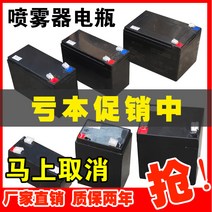 인산철파워뱅크 전기 분무기 배터리 12v 농업 대용량 리튬 12 볼트 라이트 오디오 액세스 제어 12v8v12ah, [15] 향상된 버전 16A 리튬 배터리 납땜 단자 와
