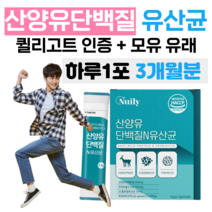 단백질 산양유 N 유산균 네덜란드 퀼리고트 하루 1포 단벡질 영양 균형 밸런스 유산양 프락토 올리고당 유익균 먹이 10억 마리 모유 유상균 락토바실러스 유산귱 고소한 산양유맛, 3개월분, 2500mg x 30포 (하루 1포)