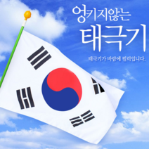 엉킴방지 회전깃대 태극기 국산, 1개