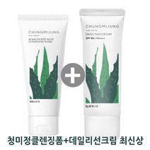 청미정 알로에 발효 클렌징폼+데일리 선크림+샘플 알로에베이스 순한선크림 약알칼리성 폼클렌징, 청미정클렌징폼+선크림, 100g
