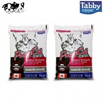 테비 프락티캣 10L (장미향) (2개입) (고양이 모래), 상세페이지 참조, 상세페이지 참조, 상세페이지 참조