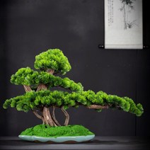 사무실 소나무 분재 조화 선물 미니어쳐 개업 조경수, 단일사이즈, C