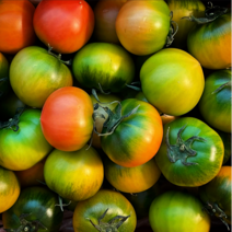 [로얄 3S사이즈 독점구성] 부산 대저농협 짭짤이 대저 토마토 (총 2.5kg), M