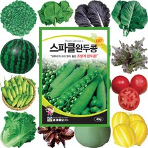 콩씨앗 땅콩씨 메주콩씨앗 강낭콩종자 호랑이콩씨앗 작두콩종자 서리태, 403 자홍찰옥수수 150립