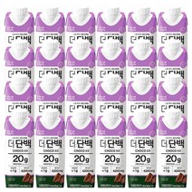 빙그레 더단백 드링크 초코 250ml / 단백질음료, 24개