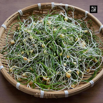 참다른 당일수확 향긋한 봄나물 흙 달래 1kg, 단품