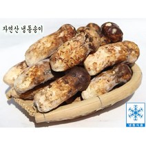 자연산 냉동송이 송이버섯 백두산송이버섯 햇송이 500g 명절선물, 1개, 2품 500g