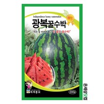광복꿀수박 200립 / 수박씨앗 수박씨 주말농장 베란다텃밭