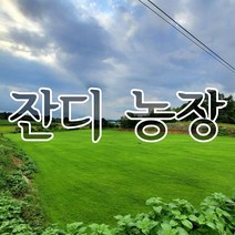 추천 원주잔디판매 인기순위 TOP100 제품 리스트