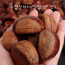 부여 알밤 당도가 높고 고소한 최고의 알밤 23년 햇 홀랑밤(칼집밤 뜨래밤) 알밤 축제 밤 달싱상회, 4kg 특, 1개