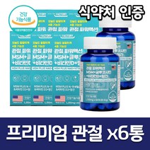 (6개묶음) 프리미엄 조인트 초록홍합 엠에스엠 글루코사민 글로코사민 컴플렉스 관절 연골건강