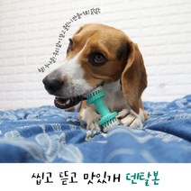 반려동물 강아지 덴탈본 펫 장난감 잇몸질환 치석 감소 구취 입냄새 제거, 댕댕이 덴탈본 1개