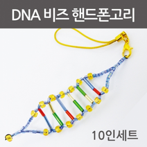 DNA 비즈 핸드폰고리만들기(10인)