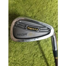 중고 브리지스톤 PRECEPT EX 4번 R 남성용 아이언 단품, 없음