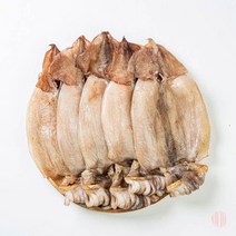 국내산 반건조 오징어 파치 7-12마리 1KG 내외 오징어구이 오징어볶음 반건조오징어