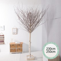 실내인테리어 인조나무 123종 / 플트 조화나무 C, C21.소원자작나무 250cmK/벽면형, 1개