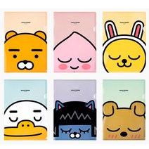 카카오프렌즈 L 폴더, 무지