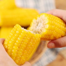 쫀득한 삶은 찰옥수수(노랑이) 15개