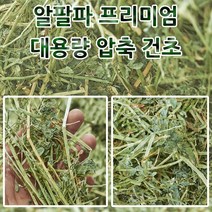 정인펫밀리 알팔파 건초 토끼 염소 양 말 기니피그 햄스터 알파파, 알팔파 압축소분 20kg