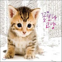 [CD] 꽃보다 고양 : 유기묘 돕기 프로젝트 앨범