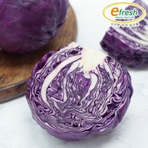 제일월드통상 신선한 적 양배추 5kg / 개당 700g 내외, 기타