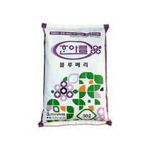 바우팜앤가든 한아름 블루베리 상토 50L 블루베리 전용 분갈이 흙 피트모스 펄라이트 주말농장 텃밭 식재 삽목 대용량, 1개