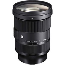 SIGMA 24-70mm F2.8 DGDN Art 소니 E 마운트 578657, 상품명참조