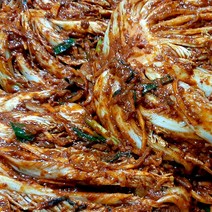 전라도 배추김치 5kg/맛의 본고장 전라도 강진 포기김치의 정석 풍부한 양념 국내산재료 해썹