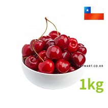 JW 칠레 체리 1kg(500gx2개), 2개