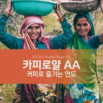 인도 카피로얄 AA 커피 생두 1kg INDIA Kaapi Royal