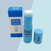 쿡 밸리 멀티 밤 아쿠아 썬스틱 올인원 BB크림 미백 주름개선 자외선차단 3중기능성