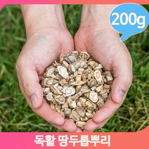 약초 독활 200g 땅두릅뿌리 쓴맛 한방차 차 음료 약재