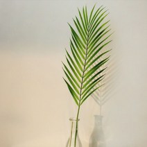 감성 인테리어 아레카야자 가지 조화 [어폼 야레카야자 대형 인조 야자잎 잎사귀 나뭇잎 야자수 식물 나무 소품 장식 카페 방 거실 벽 꾸미기 실크플라워]