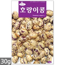 서리태 씨앗 30g - 콩 씨 청약콩 검은콩 쥐눈이콩 서리태씨앗 콩 검정콩씨앗 검은콩씨앗 콩씨앗 서리태씨 검은콩씨 주말농장 텃밭, 21_호랑이콩(30g)