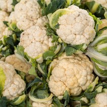 국내산 생 컬리플라워 콜리플라워 1통, 콜리 플라워 1통 (500g 내외)