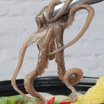 국내산 뻘에서 잡은 목포 산낙지 (대) 5마리, 단품