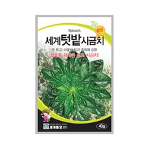 모칸도 세계종묘 텃밭시금치 40g