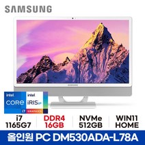 삼성 올인원PC DM530ADA-L78A - 16GB 512GB WIN11 HOME 사무용 가정용 공간활용 일체형PC ED