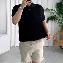 룩플레인 여름 골지 짜임 반팔 니트 카라 티셔츠 5color