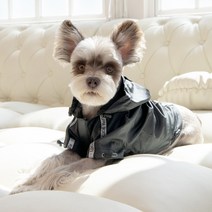 퍼피아 강아지 외출용 바람막이, 블랙
