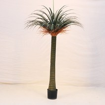 ZOR779051드라세나 드라코 조화(160cm) 용혈수 야자수 인테리어
