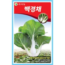 적근대 5g 근대씨앗 근대씨 샐러드 채소씨 채소씨앗 야채씨앗 야채씨, 24_다농_백경채(1500립)