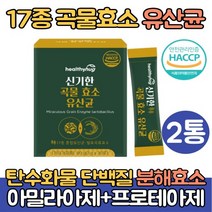 곡물 발효효소 유산균 곡류효소 2통 소화 효소 지방분해 고역가수치 임산부 추천 아밀라아제 프로테아제