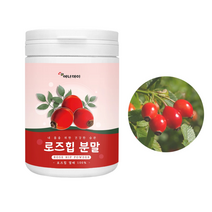 에너day 로즈힙열매분말120g 플라보노이드 함유